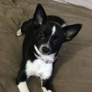 Meet your Posher, Ruby